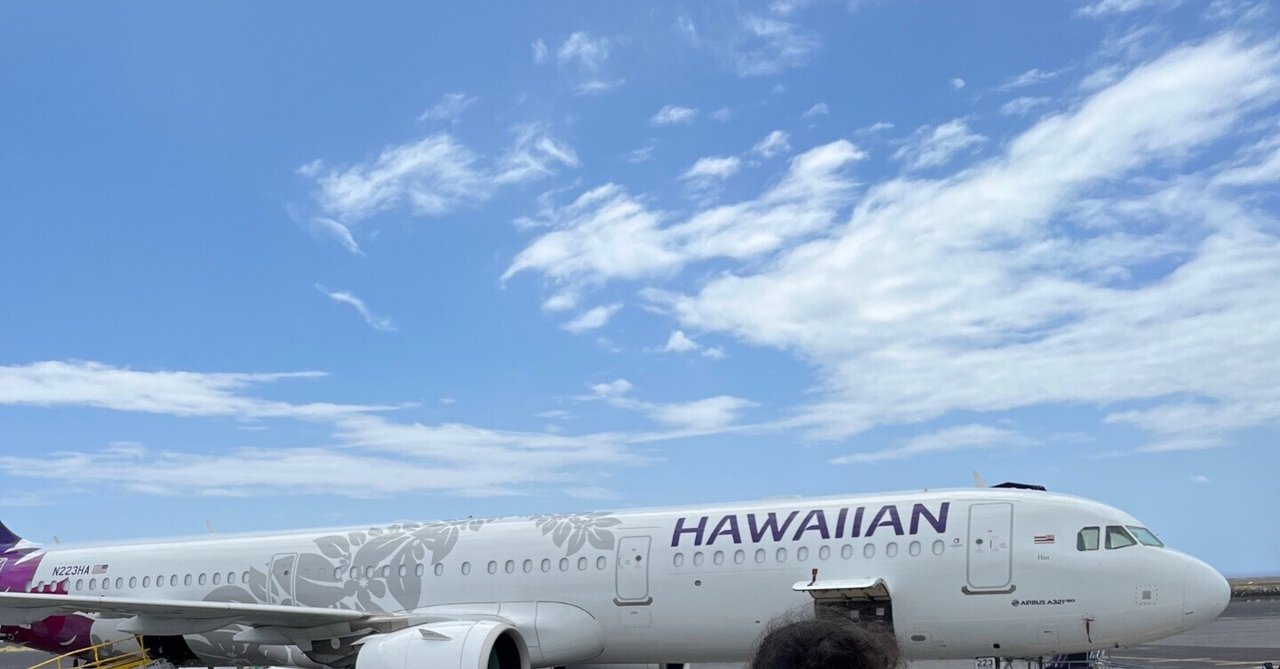 ハワイアン航空 HAWAIIAN AIRLINES お皿 2枚 希少 ハワイ好き