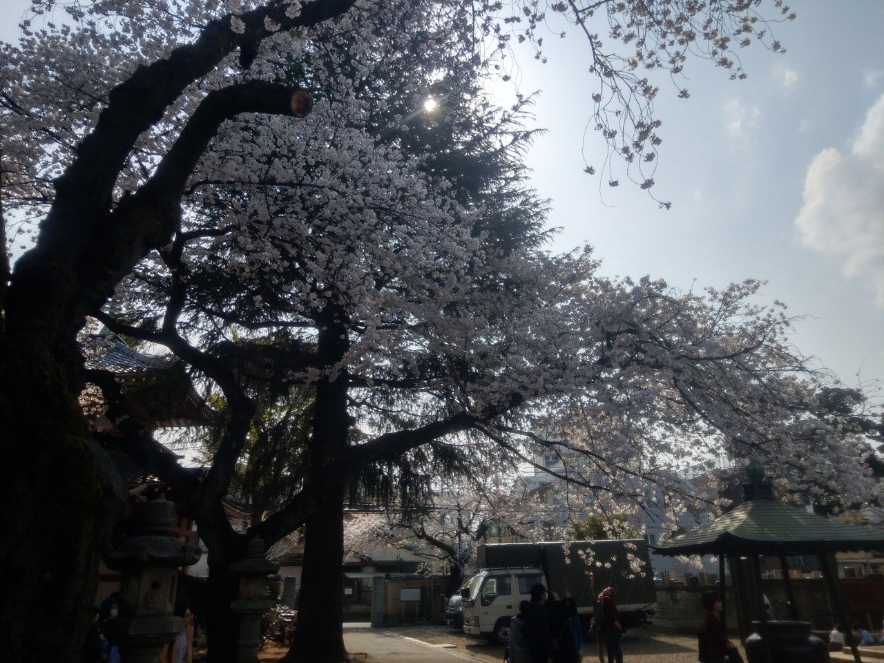 19年4月6日 花見 中野 その2 Siouxcitizen Note 19年4月6日 花見 中野 その2 Siouxcitizen Note