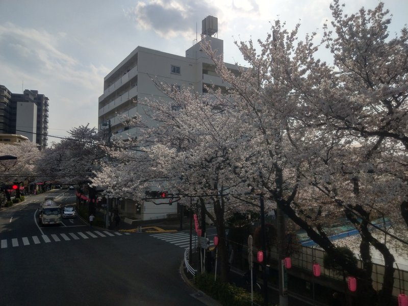 19年4月6日 花見 中野 その３ Siouxcitizen Note
