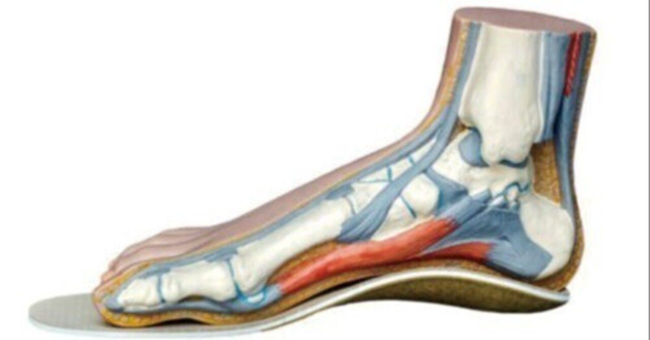 idmatch : 足のアーチを基準に設計された自転車専用フットベッド|プラネットポディウム編集部