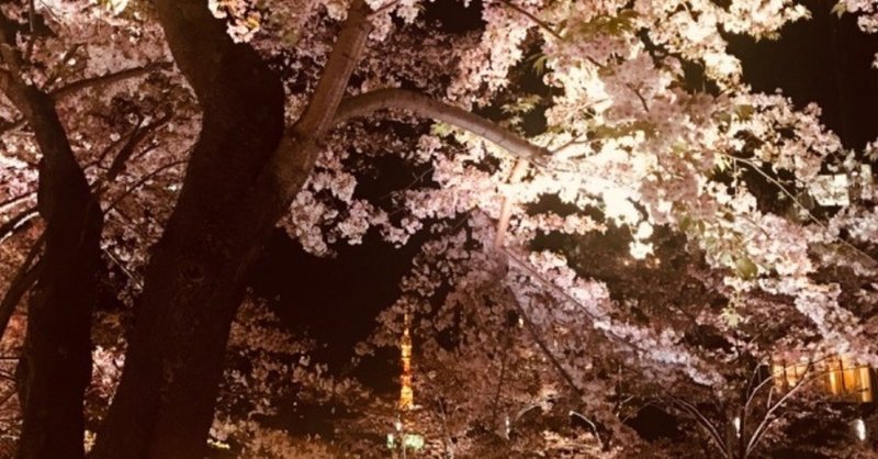 トーキョー桜。