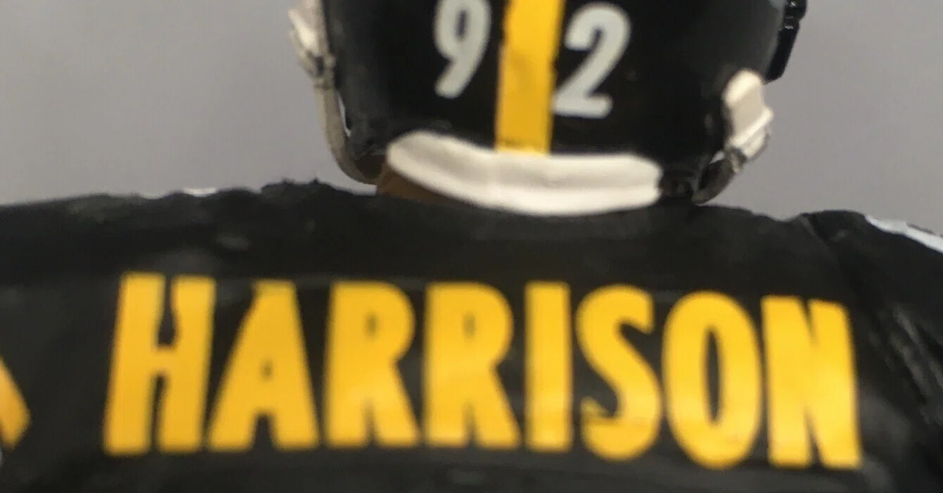 Polamaru's Room #49 James Harrison McFarlane NFL 2-PACK｜Polamalu