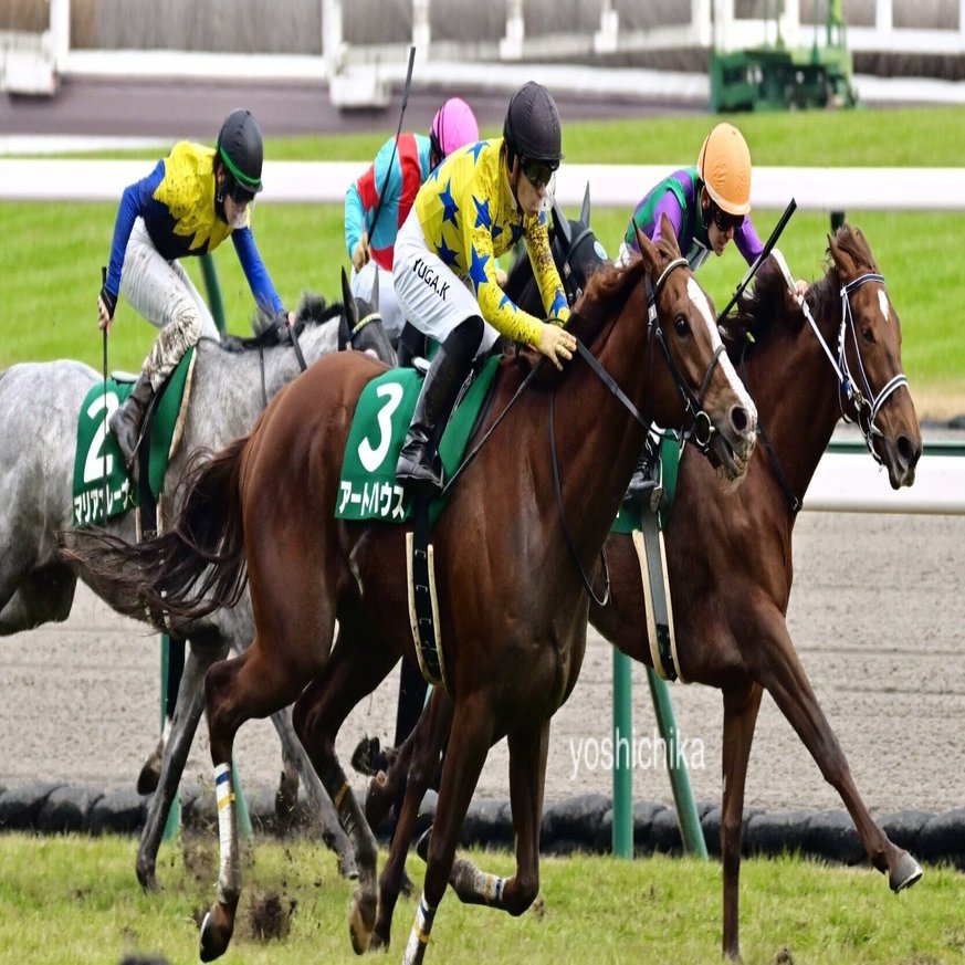 中京競馬場(芝)での僕なりの競馬写真の撮り方(撮影場所と作例