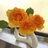 lovely_knot3537