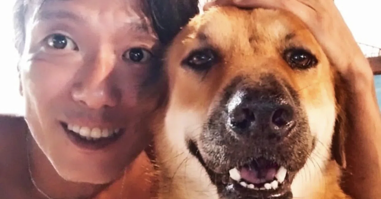 タオ島の野良犬 宮野入昭彦さんへのインタビュー｜秋谷萌花 Moka Akitani