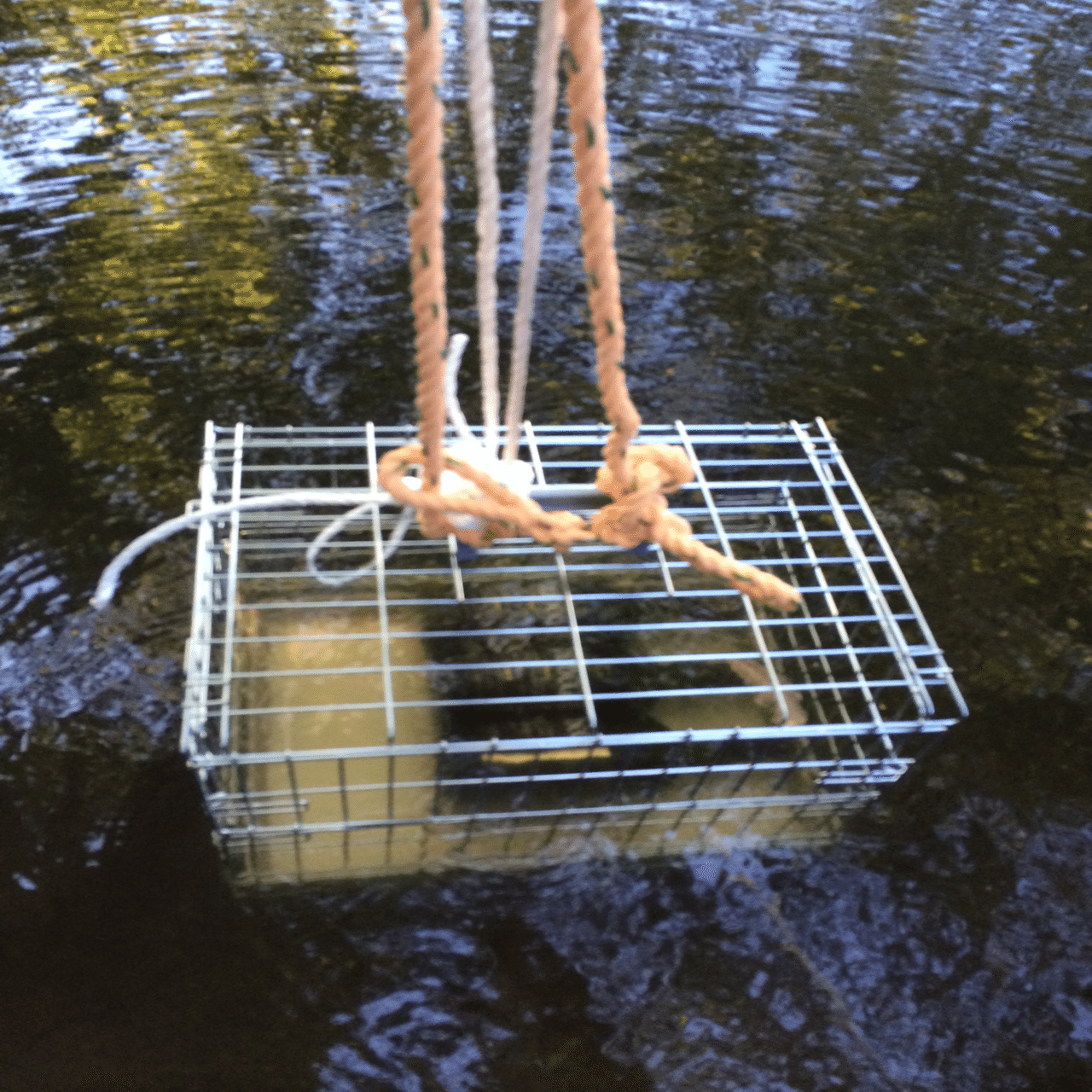 限定・希少】Bar BenFiddich 10周年 2本セット zz-420698_00-1.jpg