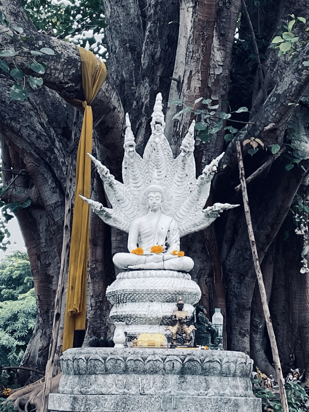 予習していくともっと楽しめる！タイのお寺巡り【仏像編】｜UNI(ゆに)🇹🇭40代からのタイひとり旅