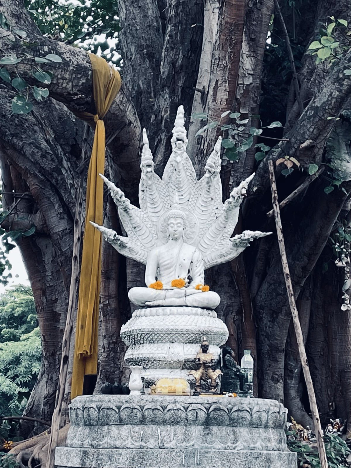 予習していくともっと楽しめる！タイのお寺巡り【仏像編】｜UNI(ゆに