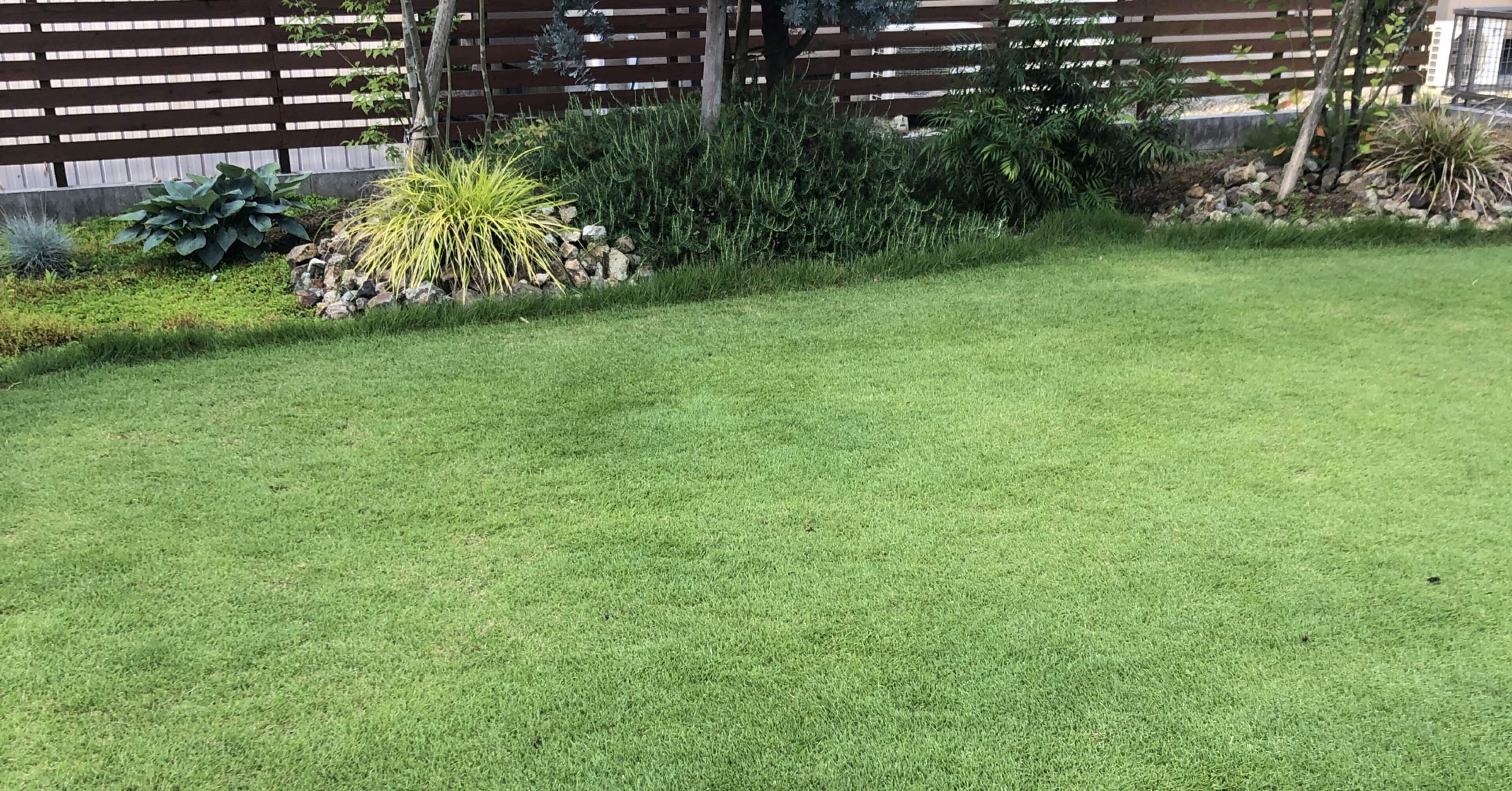 隣の芝生は青く見えがち｜りすけ