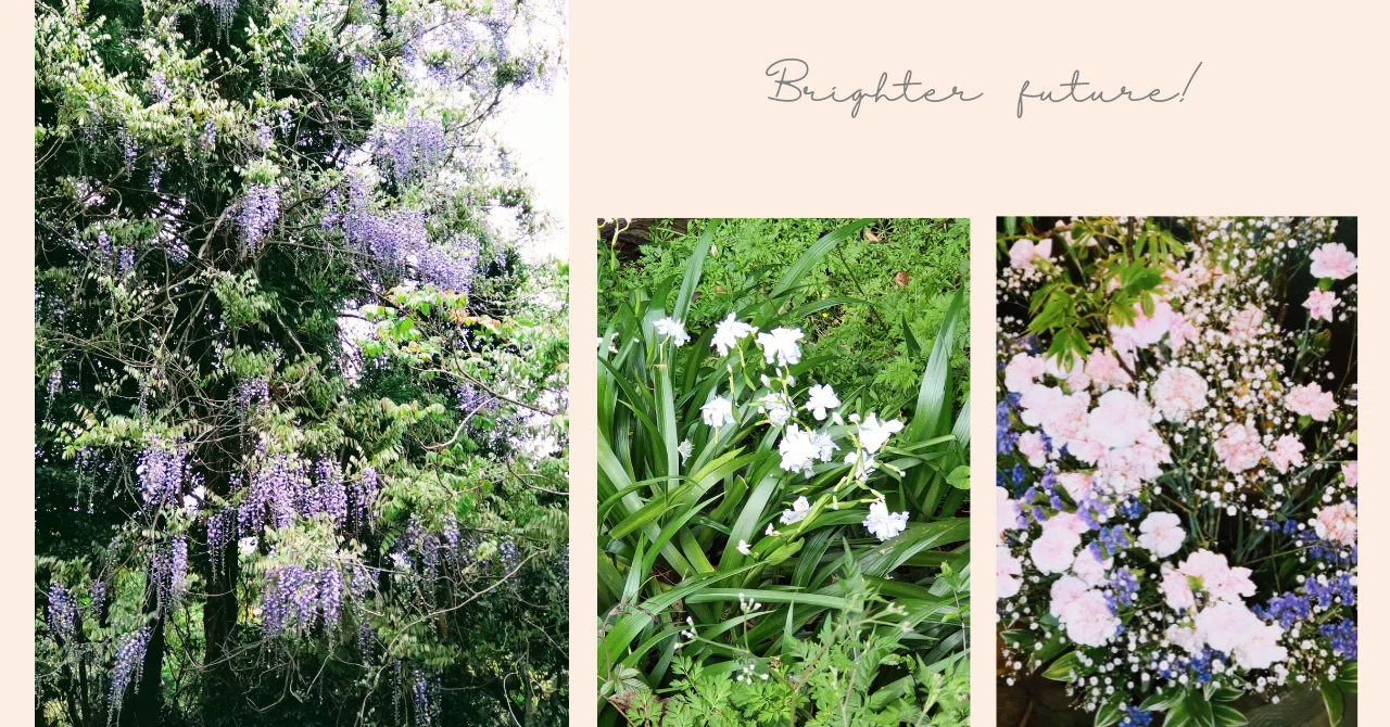 薄紫色の花が咲く季節に見つけた小さな希望｜yumi