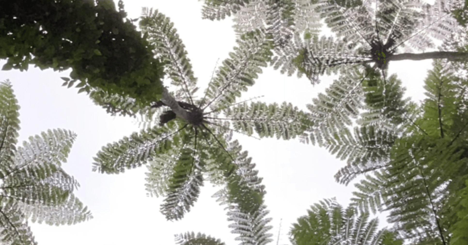 e554579ce828a345a78e18732bf9cd