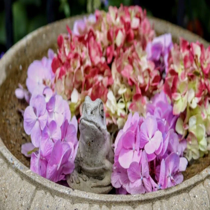 6月の締めくくりは”風鈴と紫陽花”で…｜sora