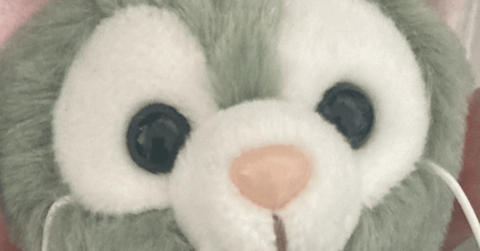 6月28日の日記「ジェラトーニよ、そんな目で私を見るな」｜荒生 曇