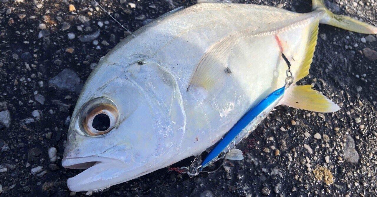 株式会社DSTYLE 公式サイト 下げ最後!!!　渋いパックロッド!