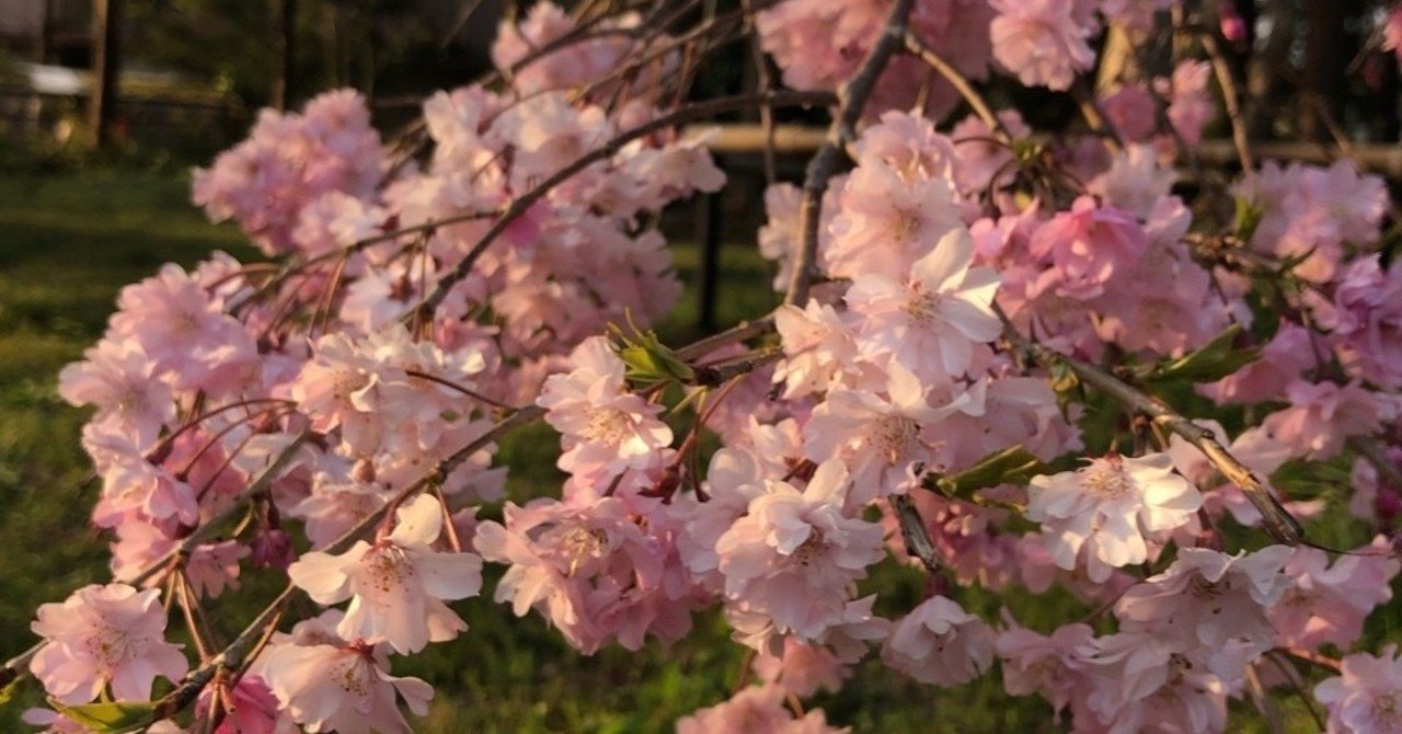 花は色 人は心 まさこ note