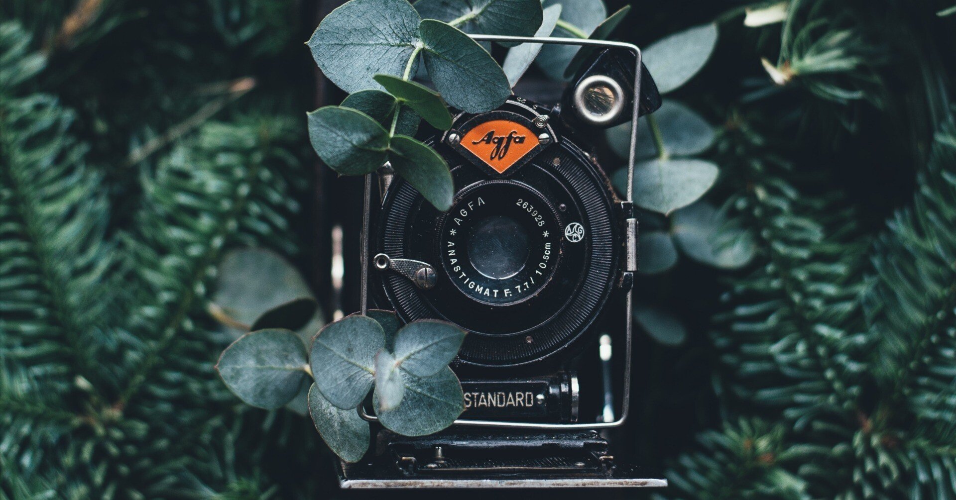 CANON NEW FD 28mm F2｜フリッパーズ・ガイド