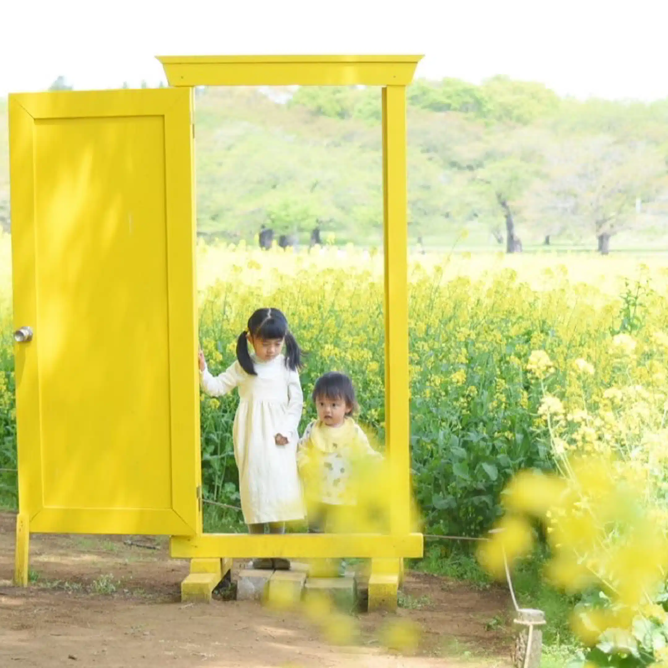 みどめぐ | 子連れアメリカ移住の夢🇺🇸