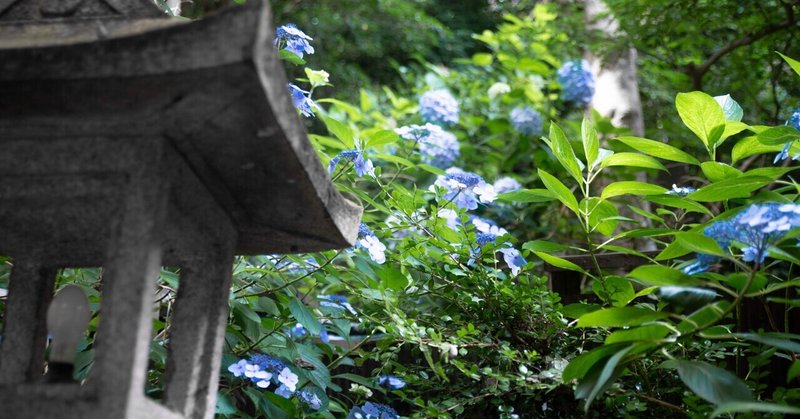 【僕のフォトアルバム】6月編 - 京都伏見稲荷神社ほか