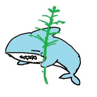 ささざめ