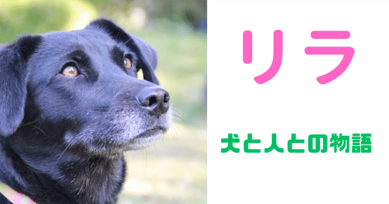リラ〜犬と人との物語①