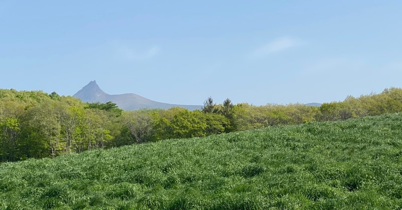 まだ様子見ですが6月の振り返り