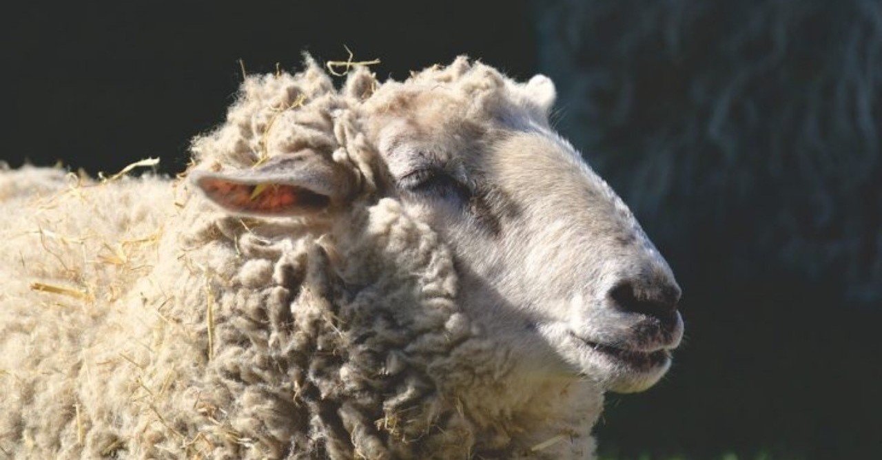 Aレコード設定方法（ヘテムル+お名前.com編）｜千葉 匠 takumi chiba