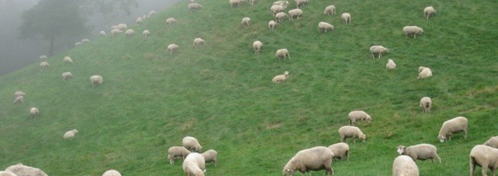 ほっこり記事まとめ たじまの沖漬け Note