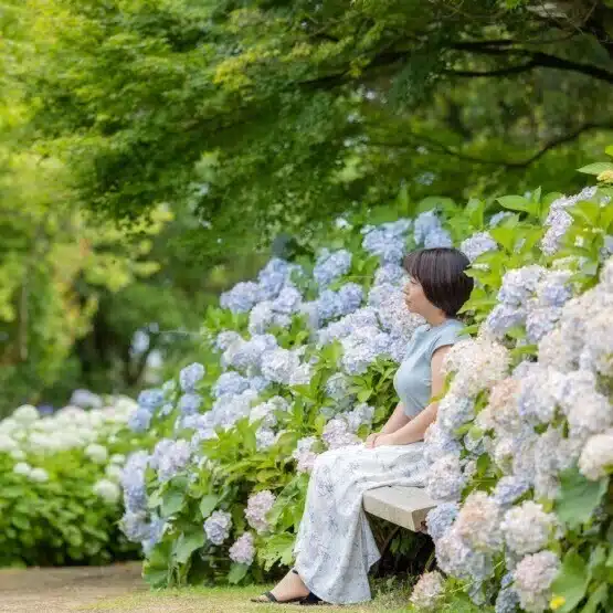 CHAMOMILE YURIE (カモミールゆりえ）