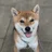 やまだ