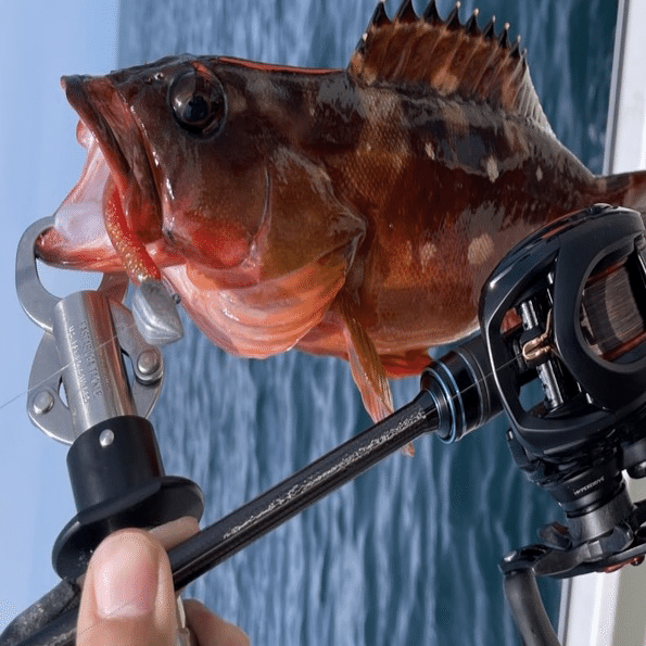 道具のこと：がまかつ ラグゼ 寧音 B74M-Solid｜サカイ オツヒト