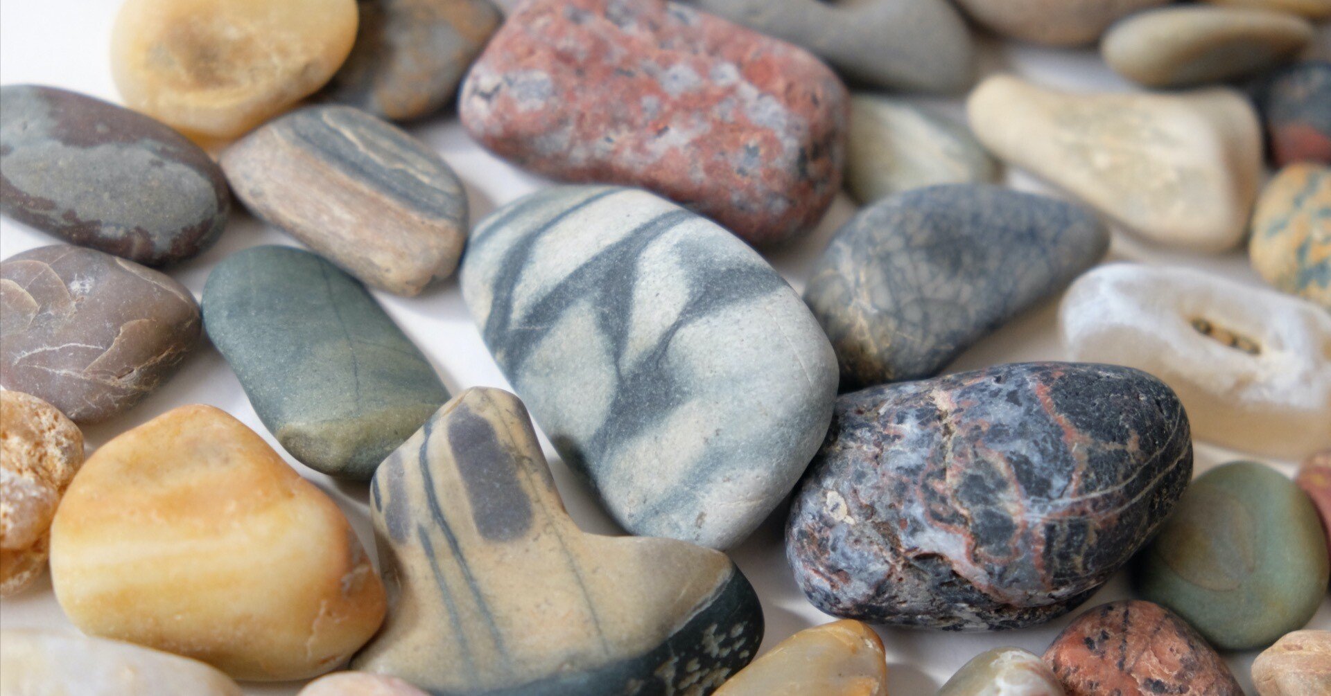 a5f4d5a94c4d02a921dbba34a503b0