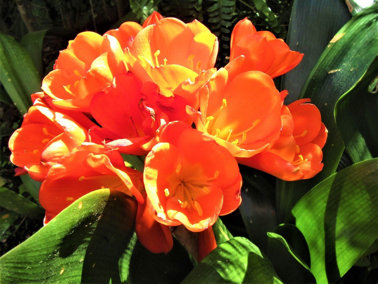 幸せな色を抱えた色彩の中で 青木詠一 Note