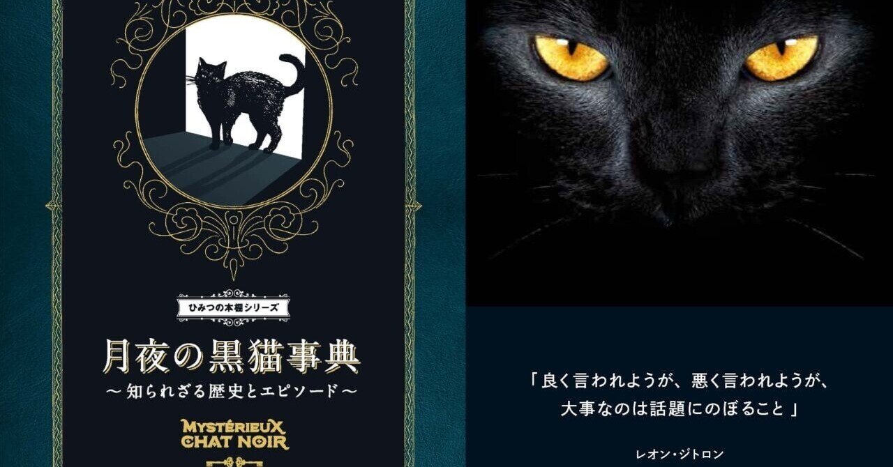 黒猫は不幸の前兆？それとも幸運の象徴なの？黒猫にまつわる謎と迷信