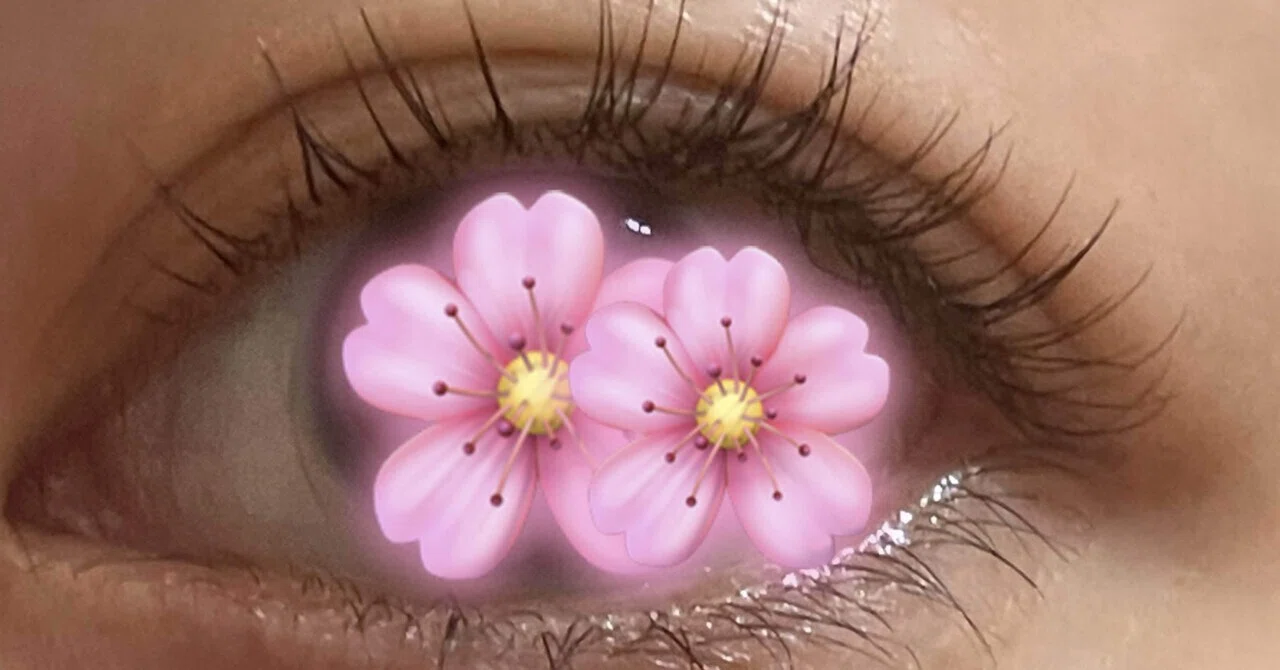 The Ultimate Time-Saver! Eyelash Perm｜星子 twitter@hoshikointhesky