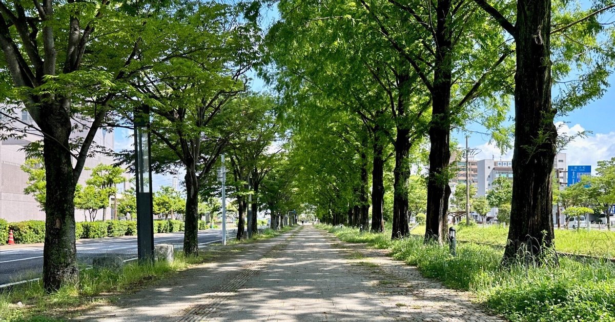 【メール便無料】 佐賀市にあるもう一つの図書館へ｜sanchi 木工、竹工芸