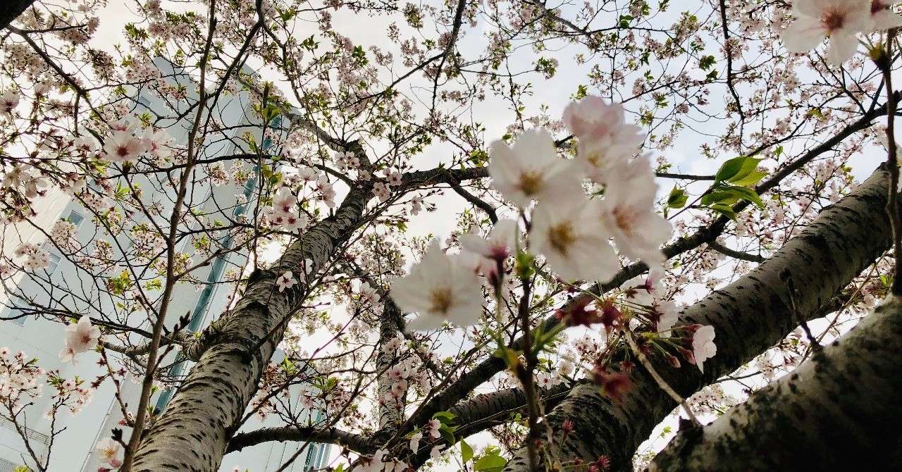 iOS_の画像__2_