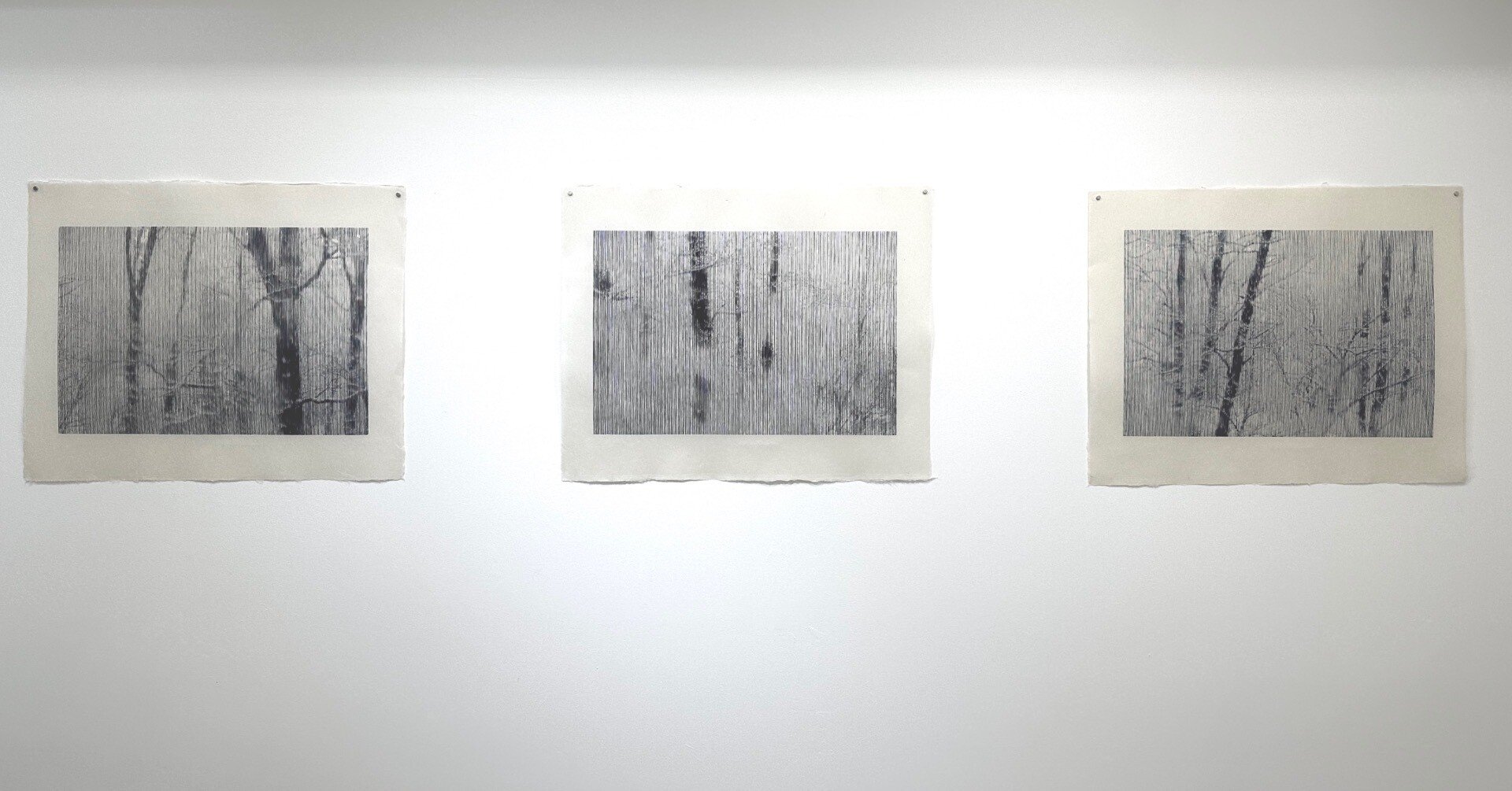 16c54dd4069028d8209032998038bc