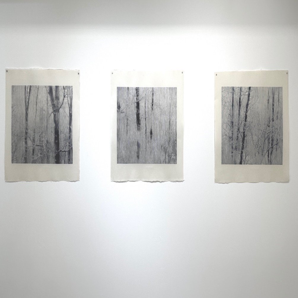 森の空気感を堪能 湯浅 克俊 氏 「Fragmentary」｜無為の茶客 | Kazuo