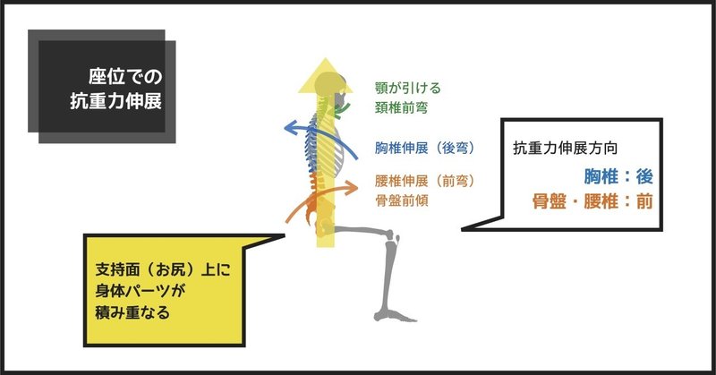 姿勢分析を今より速くするために明日からできること 座位編その１ こまつようすけ 脳卒中の方とセラピストと一緒に成長する理学療法士 愛知 Note