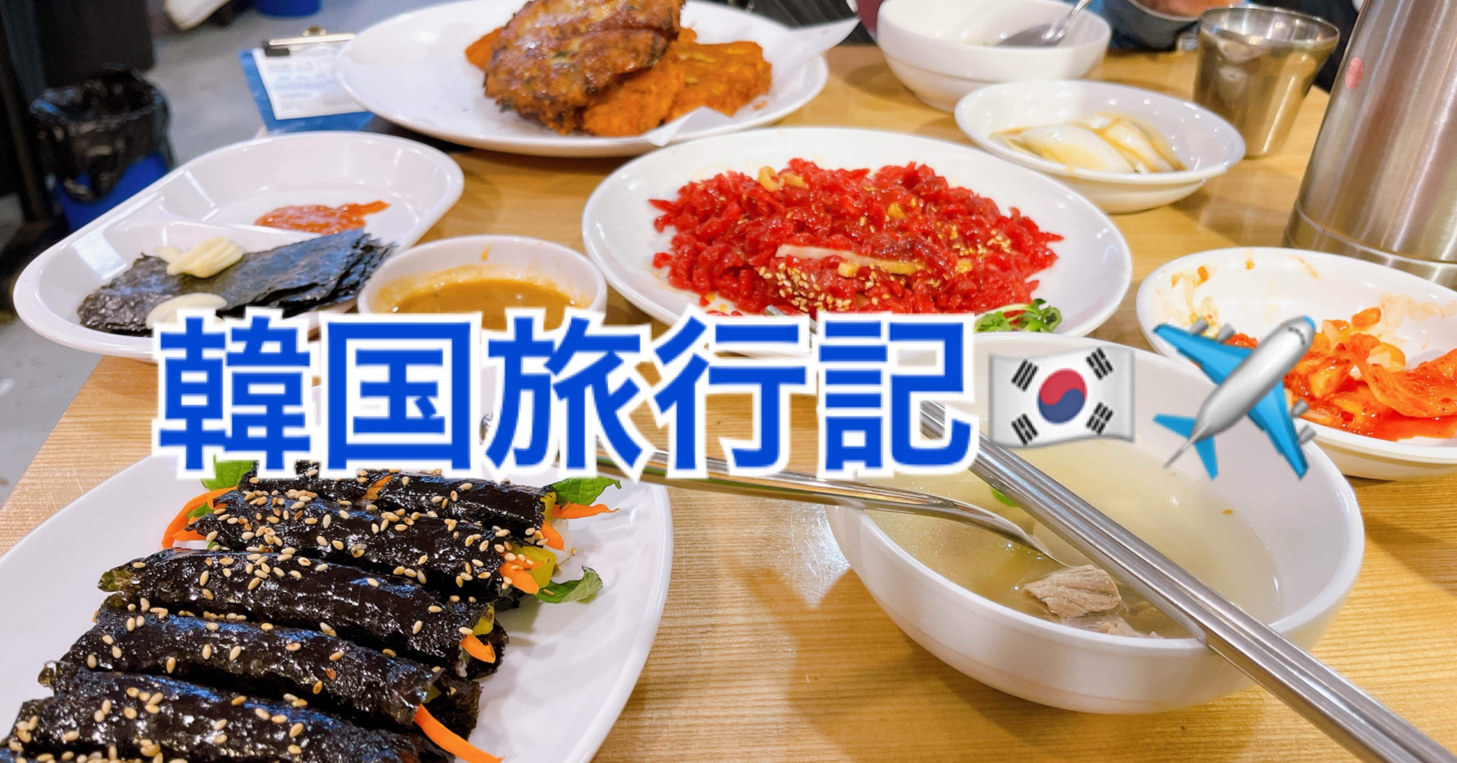 韓国旅行2日目🇰🇷✈️~旅行に来たのに何故か漢江でピクニック最高だっ