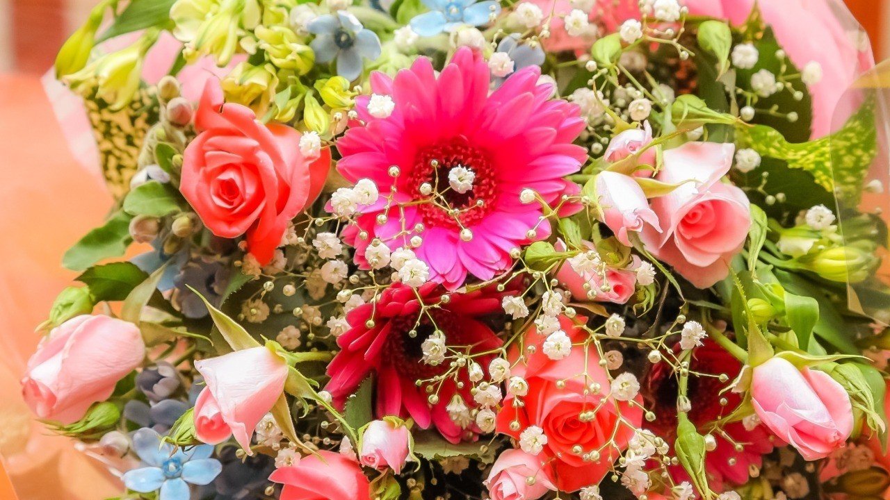 アルジャーノンに見る 知性とは何か 伊藤玲阿奈 翻訳書ときどき洋書 Note