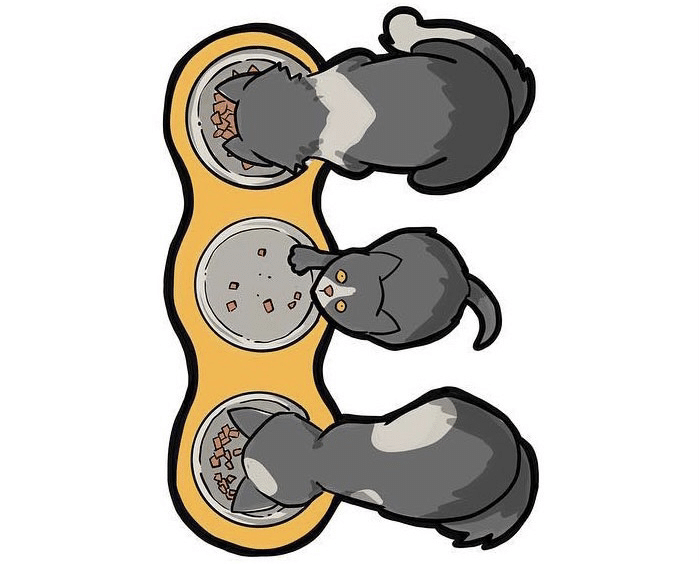 猫のアルファベット｜ノリノリ