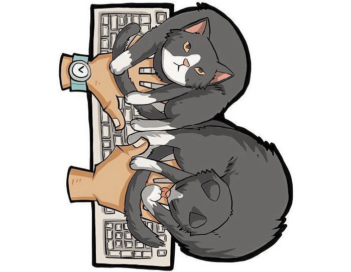 猫のアルファベット｜ノリノリ