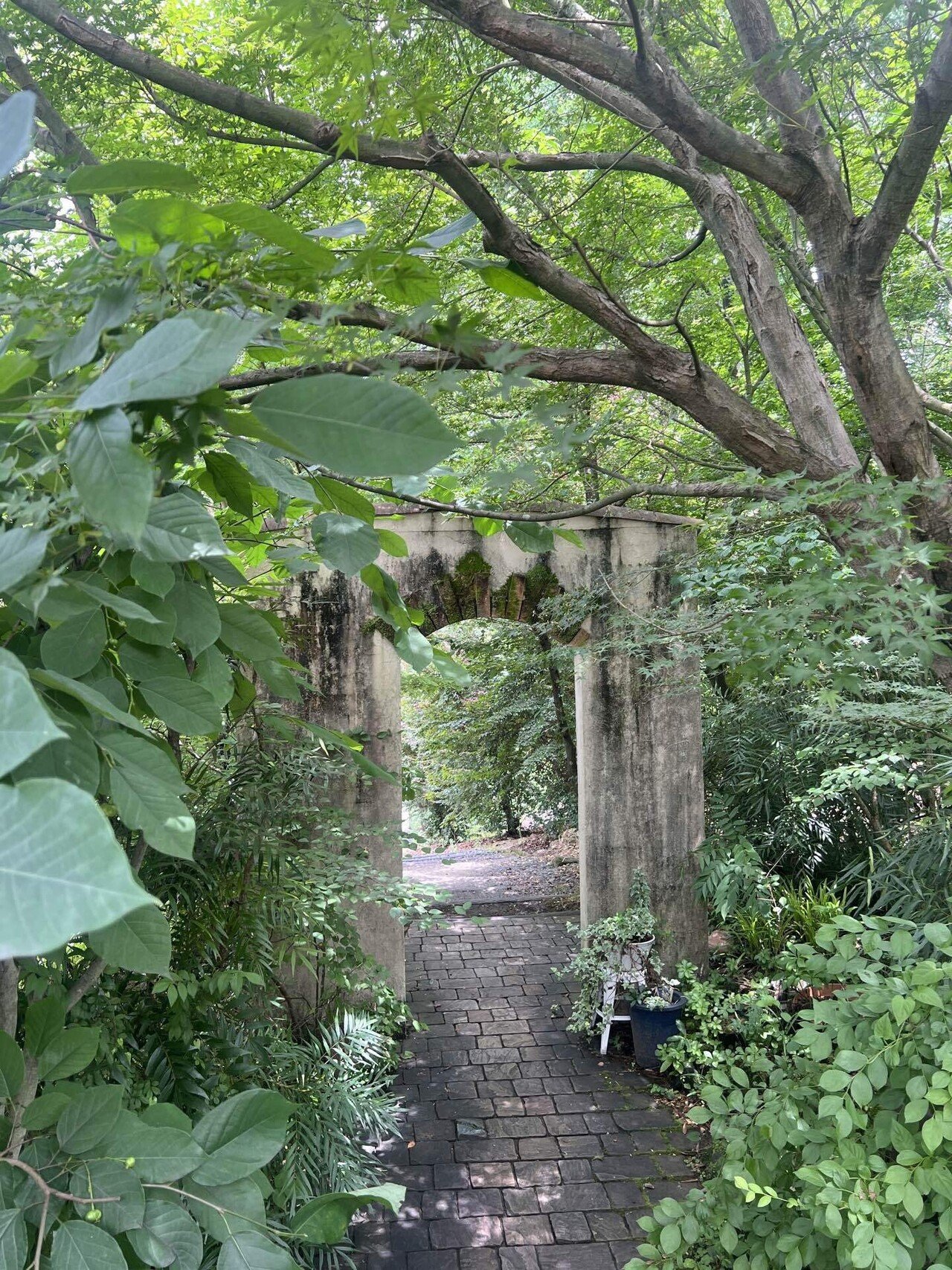 コンクリートジャングルももちろん暮らしやすいけど。やっぱり自然が好き。|乃