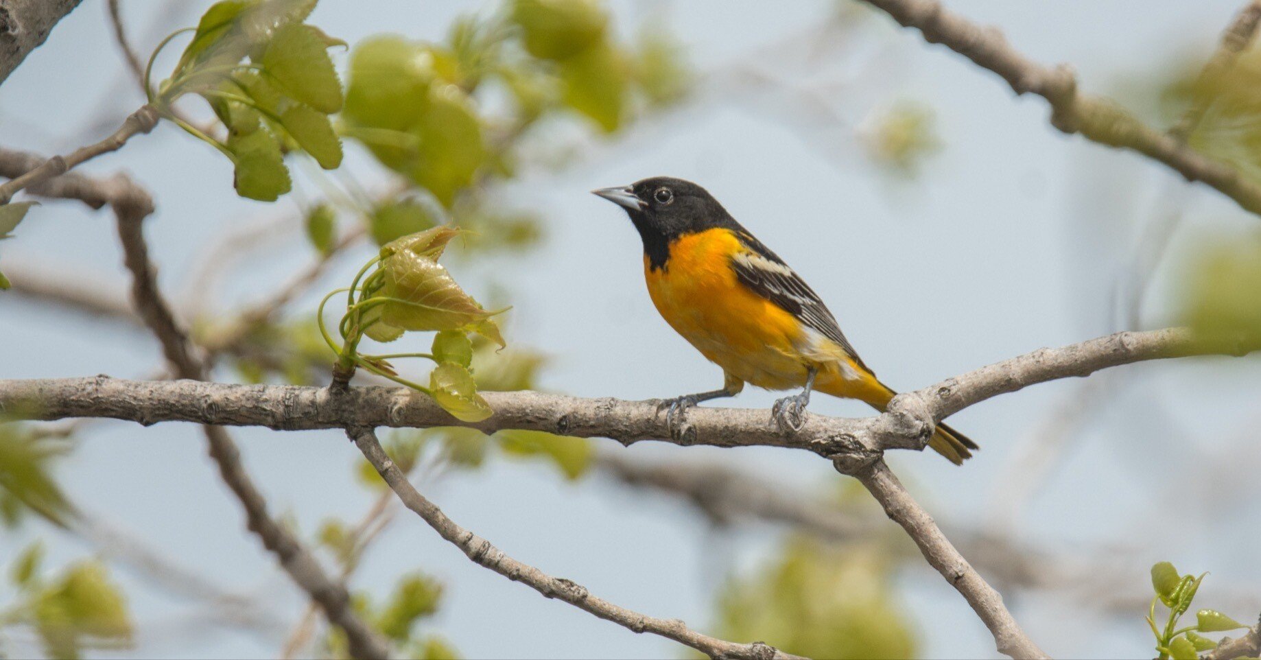 b89dd3ae680a1eae62029c1003b1a5