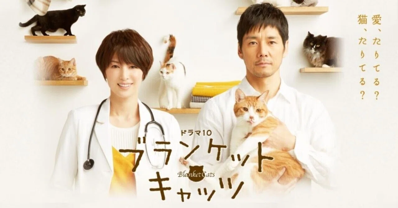 ブランケット・キャッツ DVD-BOX〈4枚組〉　美品　ドラマ　西島秀俊 416-Jy9JaLL._AC_UF350,