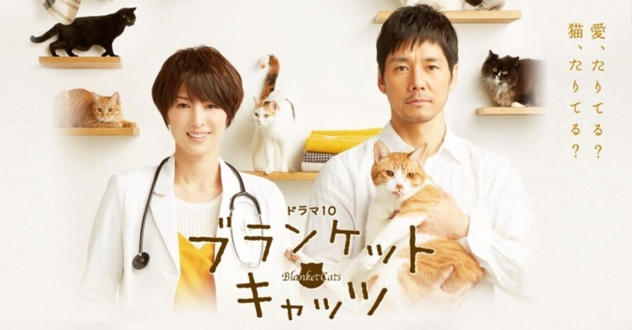 2017年『ブランケット・キャッツ』感想｜幸坂かゆり