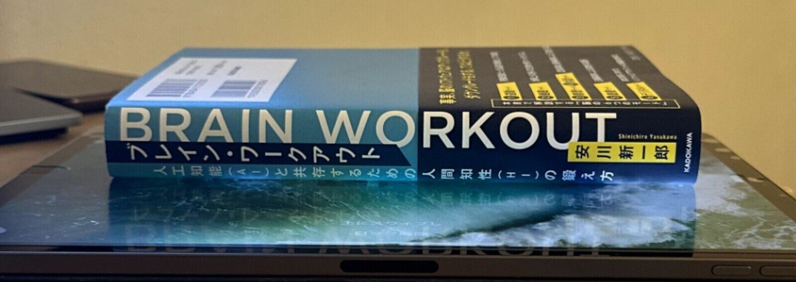安川新一郎 BRAIN WORKOUT〜人工知能（AI）と共存するための人間