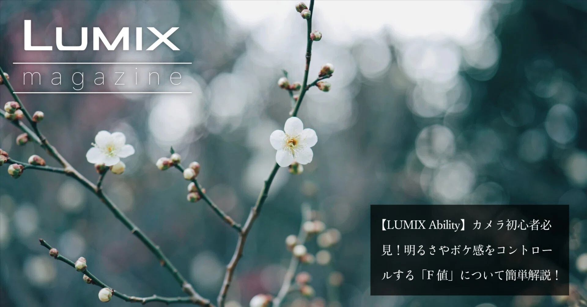 LUMIX Ability】カメラ初心者必見！明るさやボケ感をコントロールする