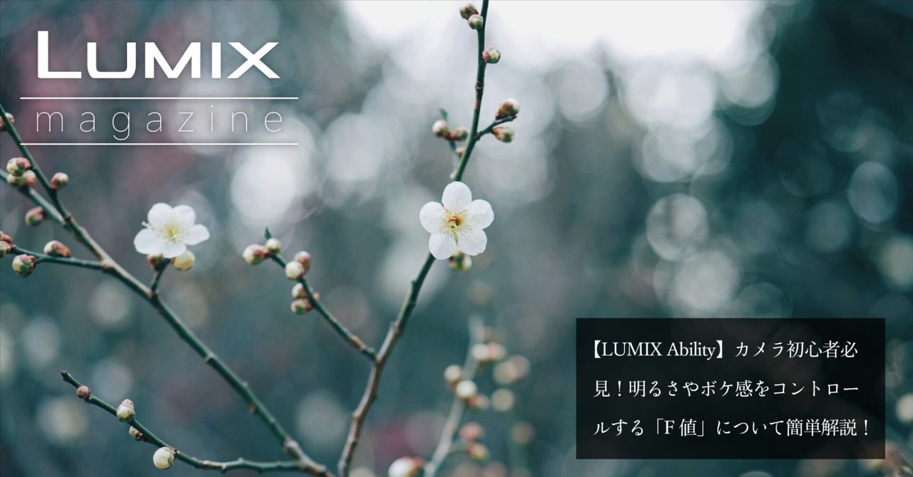 LUMIX （値下げはコメントお願いします） LUMIX 【いつでも+1％！5のつく日と日曜日は+2%！】【爆買
